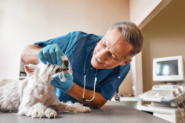 Emergency Dentist Open Today in OH