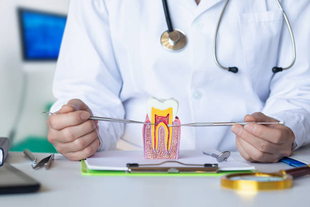 Best Tooth Pain Emergency Relief  in Fort Shawnee, OH